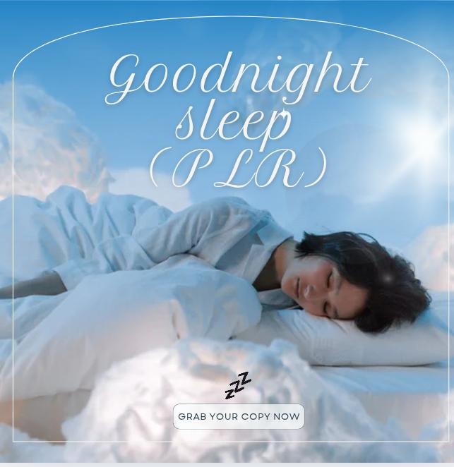 Goodnight Sleep PLR Review